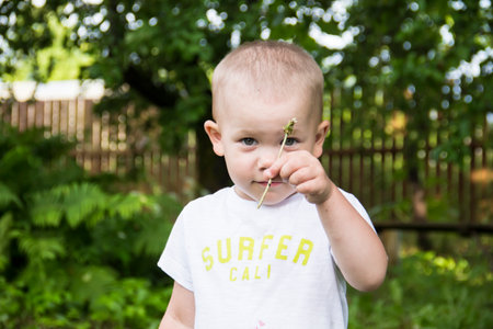 Portrait of a small, bald boy with a flower in his hands, who smiles and has fun in the villageの写真素材