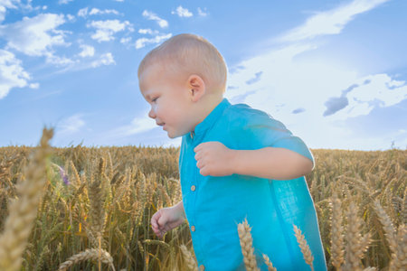 A small, bald boy in a blue shirt is walking and having fun in a field with a grain crop, wheat. Grain for making bread. the concept of economic crisis and hungerの写真素材