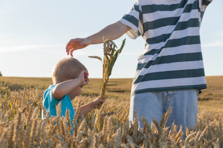 A little boy and his teenage brother are having fun walking in a field with ripe wheat. Grain for making bread. the concept of economic crisis and hungerの写真素材