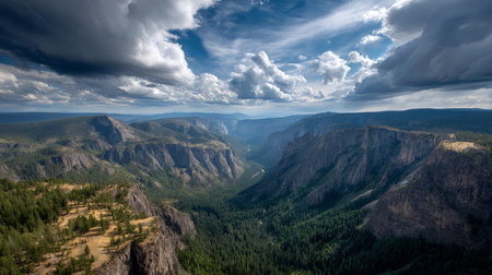 Mountain view above clouds with flowers and blooming bushes at sunset with sunbeams. Calm close-up of beautiful mountains and mountain landscape, screensaver background, Beautiful panorama. Summer vacation, holiday, amazing natureの素材