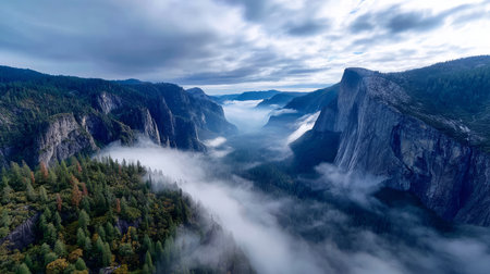 Mountain view above clouds with flowers and blooming bushes at sunset with sunbeams. Calm close-up of beautiful mountains and mountain landscape, screensaver background, Beautiful panorama. Summer vacation, holiday, amazing natureの素材