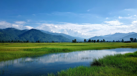 A beautiful, sun-drenched spring summer meadow. Natural colorful panoramic landscape with many wild flowers of daisies against blue sky. A frame with soft selective focusの素材