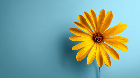 A single bright yellow daisy petal on a soft blue background, creating a minimalist yet cheerful floral composition.の素材