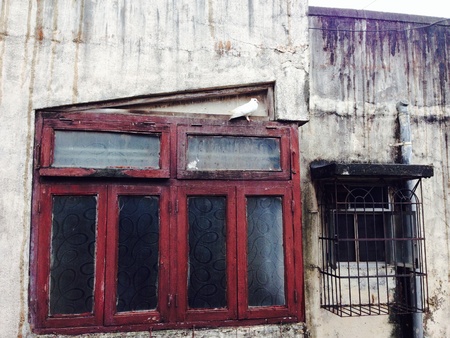 Closed window の素材