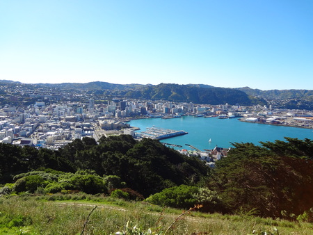 view of wellington harborの写真素材
