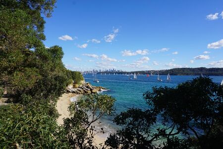 Secluded beach in sydney harborの写真素材