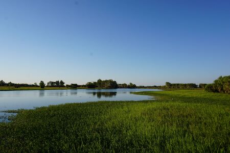 Yellow waters in cockatooの写真素材