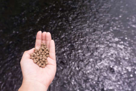 A Pile of brown Pellets feeds the fish on a female handの写真素材