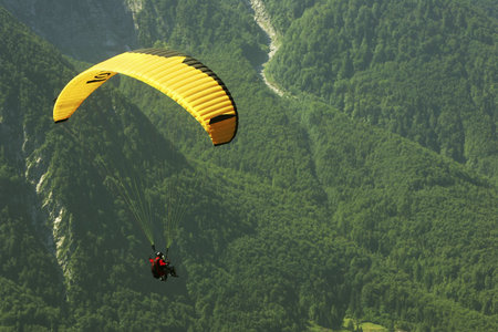 Paragliding over the forest