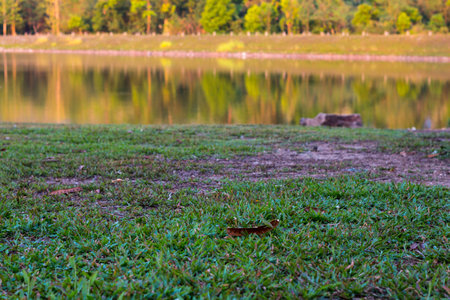 Grass And Riverの写真素材