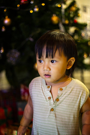 Portrait of a little boy near Christmas tree.の写真素材