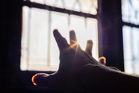 Palm Sun Through Fingers, Background for wallpaper in structure and Lifestyle scene.の写真素材