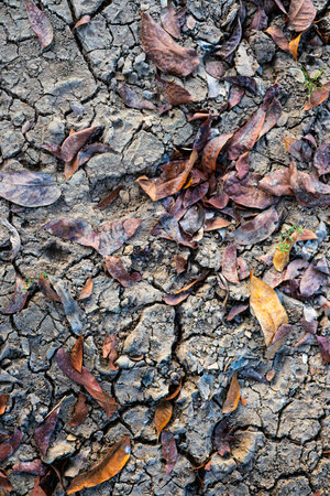 Ground Is Cracking And Drying Out, Dry cracked ground stretches in the heat.