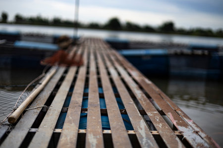 Walkway On Fish Cage By The Riverside, A sturdy walkway stretches over fish cages by the riverside, water shimmering below, perfect for a rustic photo or a vibrant visual display.の写真素材