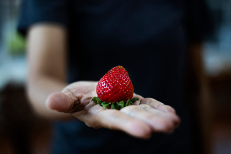 Woman Holding A Strawberry In Close Up View, A close up of a womanâs hand cradling a ripe strawberry, vibrant red hues glowing under soft light, perfect for a food photography shot or fresh fruit.の写真素材