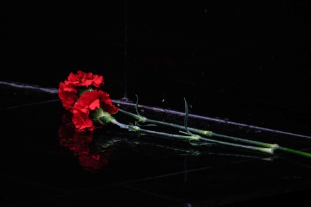 two carnation flowers on the black background on a Victory Day as a symbol of memory of dead warriorsの写真素材