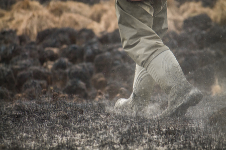 Legs in boots walking on burnt withered grass with ashes in the air, environmental problem of firesの写真素材