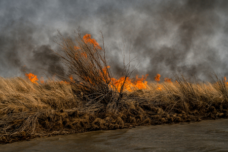 Nature disaster, the environmental problem of air pollution. Fire in meadows near a river with black heavy smokeの写真素材