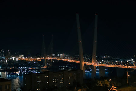 Vladivostok Golden Bridge over bay with skyline night view with city lights. High quality photo