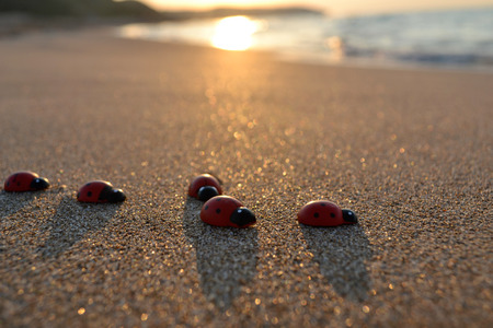 Ladybug running along on blade of green grass. Beautiful natureの写真素材