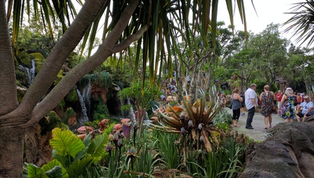 Pandora - The World of Avatar at Disney's Animal Kingdomのeditorial素材