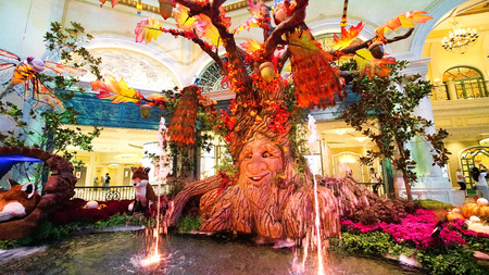 LAS VEGAS, us-Sep 17: Fall season in Bellagio Hotel Conservatory and Botanical Gardens on September 17, 2018 in Las Ve gas. There are five seasonal themes that the Conservatory undergoes each year.のeditorial素材