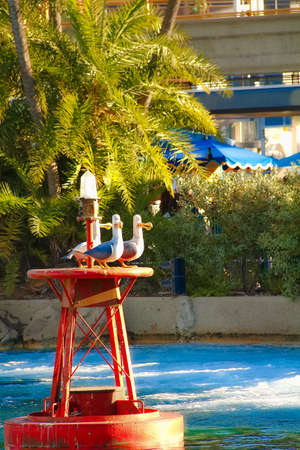 Anaheim, CA/USA - Nov 27,2018 : Tomorrow Land Attraction Inclusion a submarine ride complete with characters from the movie 'Finding Nemo'. The seagull characters squadk mine. mine. mine.のeditorial素材