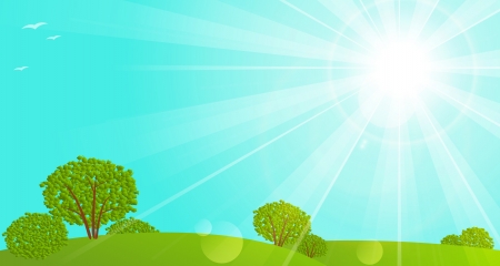 Sunny meadow with green treesのイラスト素材