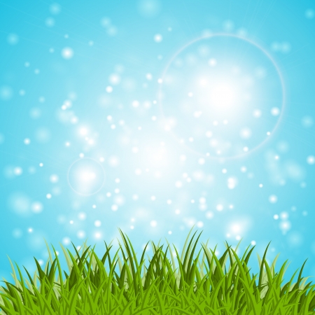 Grass and sky vector backgroundのイラスト素材