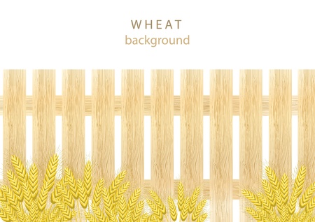 Wheat background with wooden fenceのイラスト素材