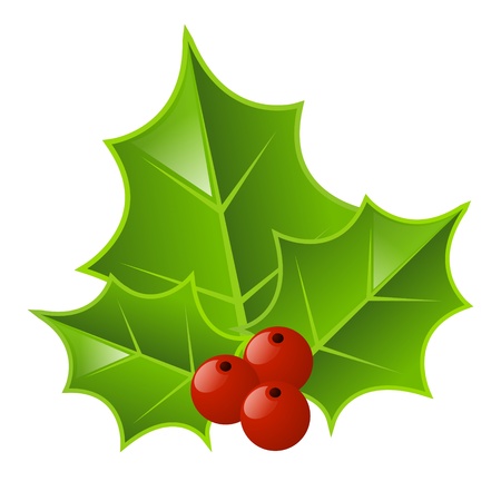 Christmas holly isolated on whiteのイラスト素材