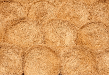 Harvest texture  stacks of wheatの写真素材