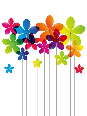 Rainbow flowers on white backgroundの写真素材