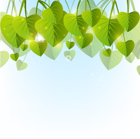 Green leaves background with place for textの写真素材