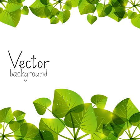 Green leaves background with place for textの写真素材