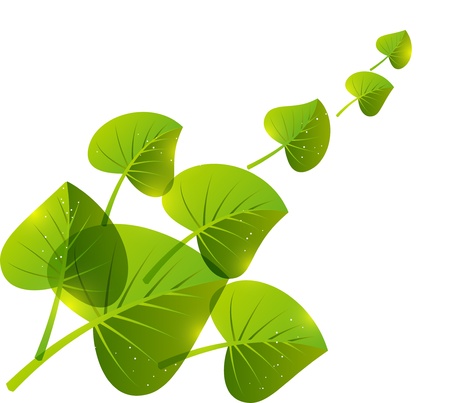 Green leaves background with place for text の写真素材