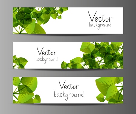 Green horizontal banners with place for textの写真素材