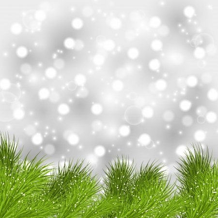 Christmas tree branches on silver backgroundのイラスト素材