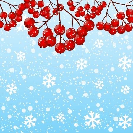 Red rowan berries on winter backgroundのイラスト素材