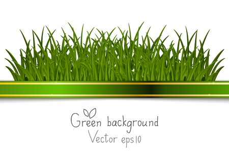 Green background with place for textのイラスト素材