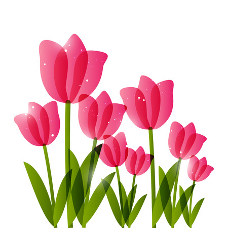 Pink tulips for Your designのイラスト素材