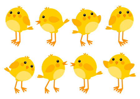 Set of cute little chickensのイラスト素材