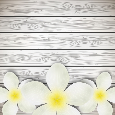 White flowers on wooden のイラスト素材