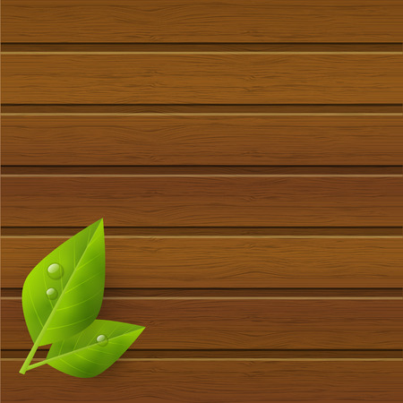 Green leaves on wooden backgroundのイラスト素材