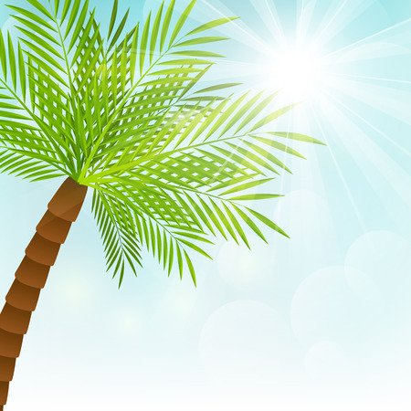 Palm tree on sunny backgroundのイラスト素材