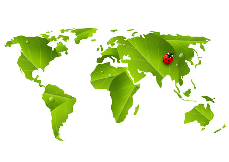 Green World map with ladybugのイラスト素材