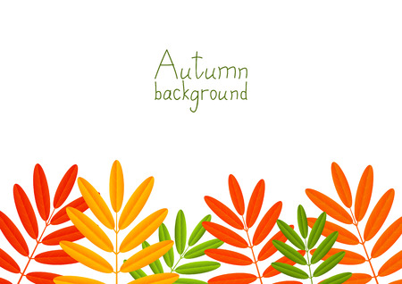 Autumn background with color leavesのイラスト素材