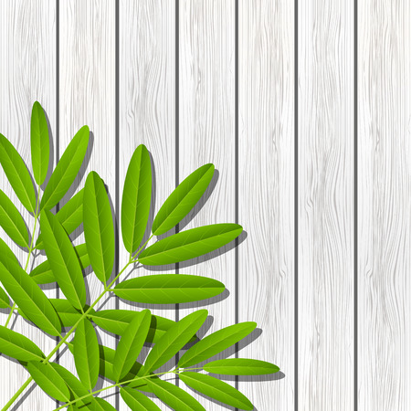 Green leaves on wooden backgroundのイラスト素材