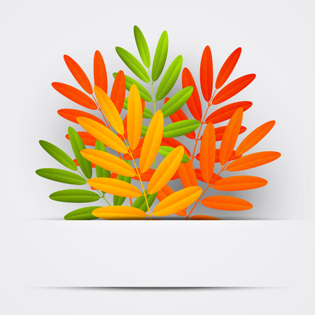 Autumn leaves on paper backgroundのイラスト素材