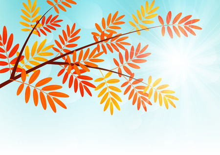 Autumn rowan branch on sunny backgroundのイラスト素材